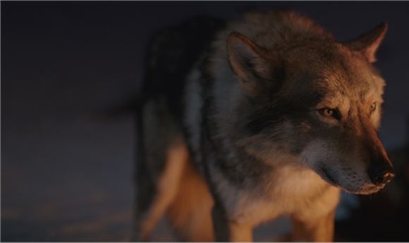 MPC Character Lab 'Goes to the Wolves'